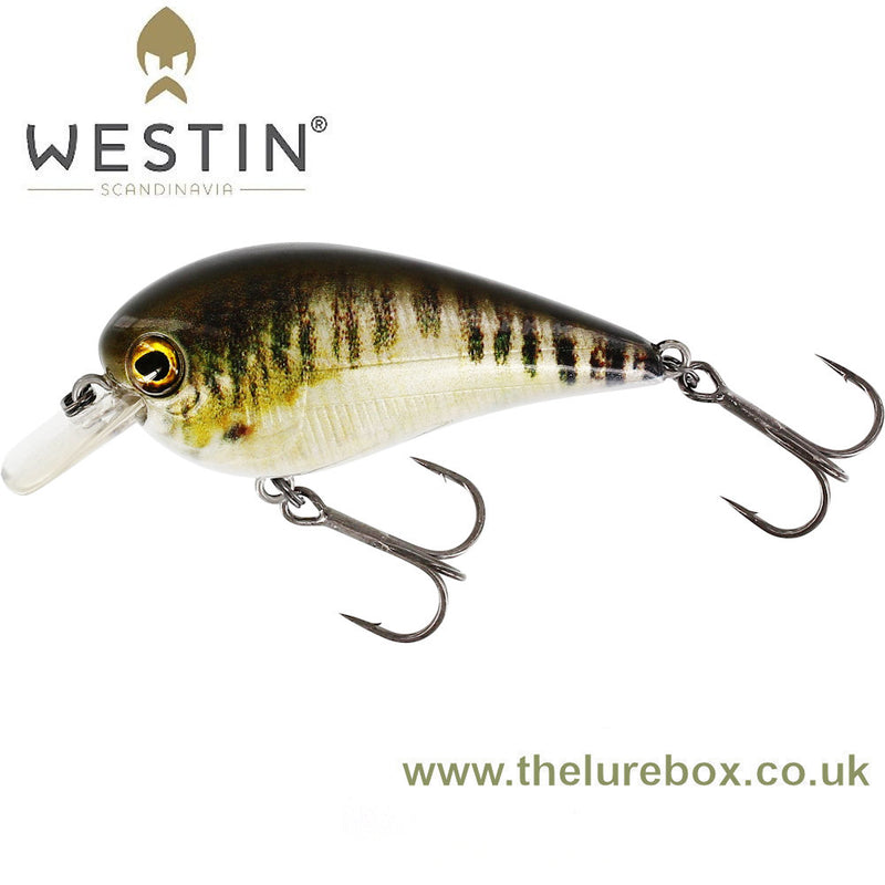 Westin Bass Bite 1.5 Squarebill Crankbait Floating 6cm