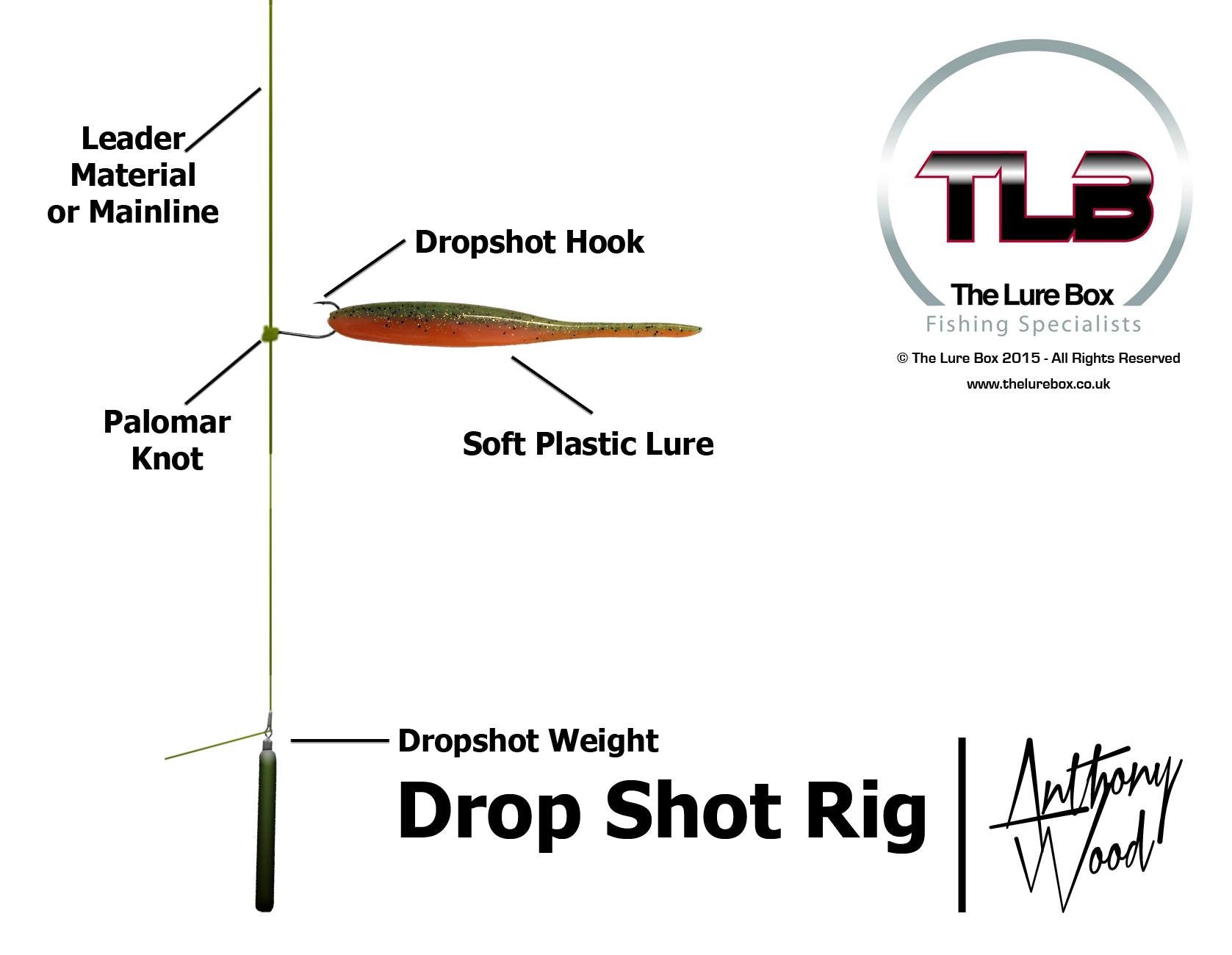 Dropshot Rig Diagram, Lure Fishing Technique