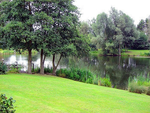 Halliford Mere fishery lakes