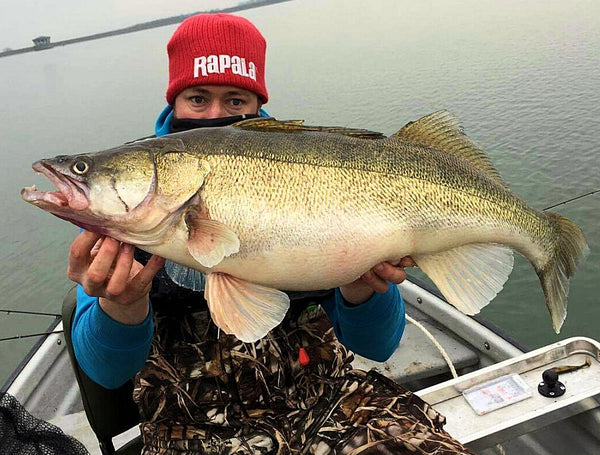 Vertical Jigging for Zander on reservoirs