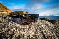 PRE ORDER Leech Eagle Eye G2X Glasses