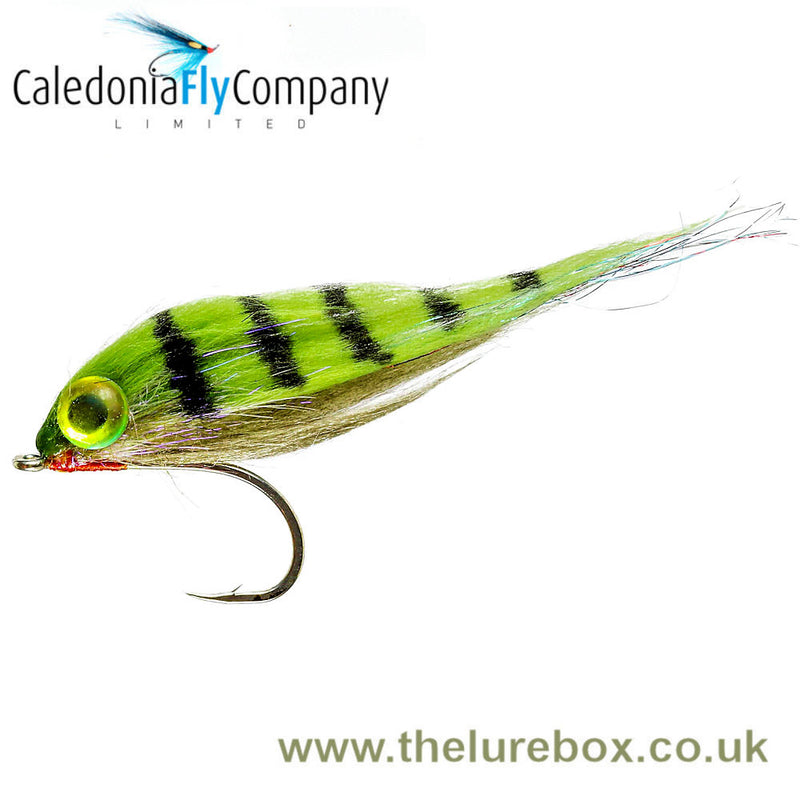 Caledonia Perch Flies