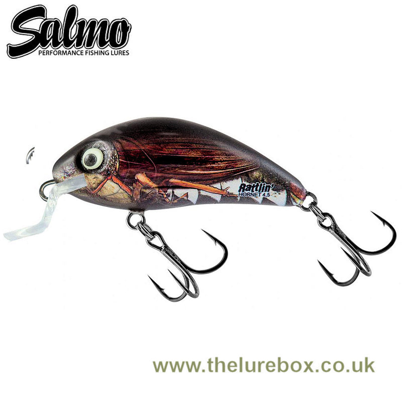 Salmo Rattlin`Hornet – Baracuda Fishing Tackle